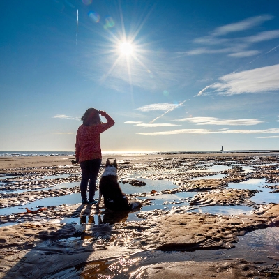 Visitor numbers rise as more people experience North East England